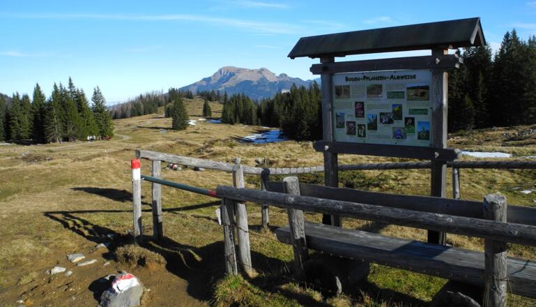 Mehrere Schautafeln berichten über das Gebiet.