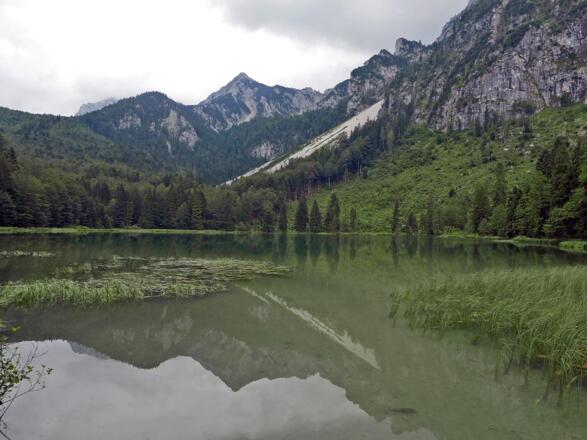 Blick zum Hochstaufen