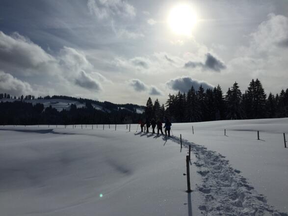 Der Weg über die Rote Heide