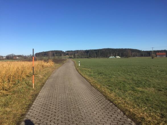 Feldweg nach Unterriedern