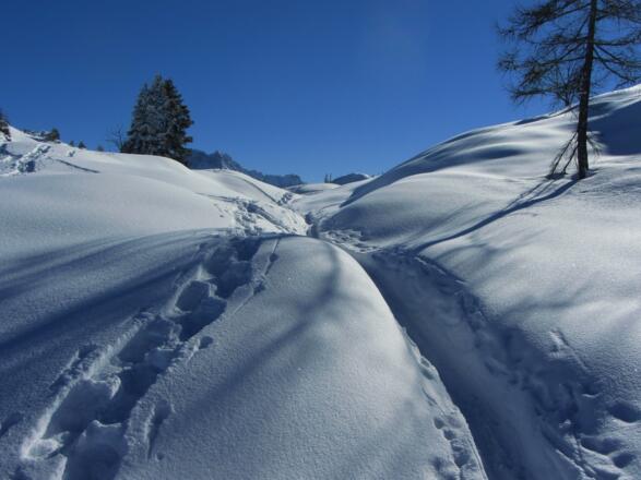 Schneeschuh- und Skispuren nebeneinander