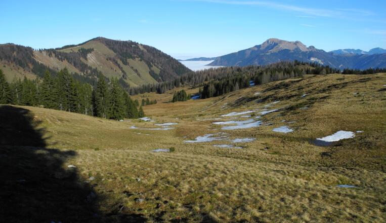 Almwiese vor dem Illingerberg