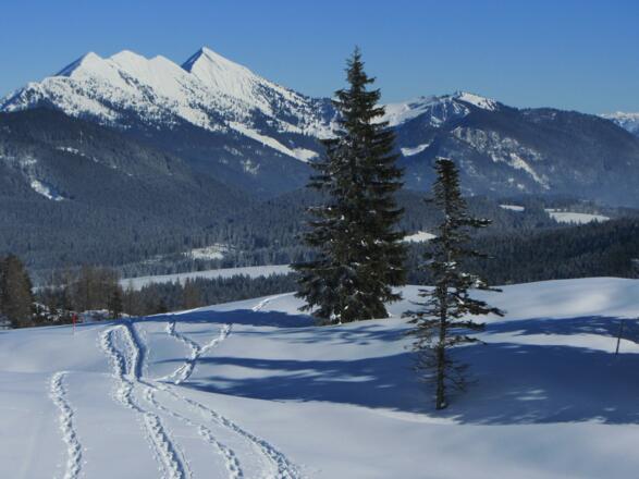 links Sonntagshorn, rechts Peitingköpfl