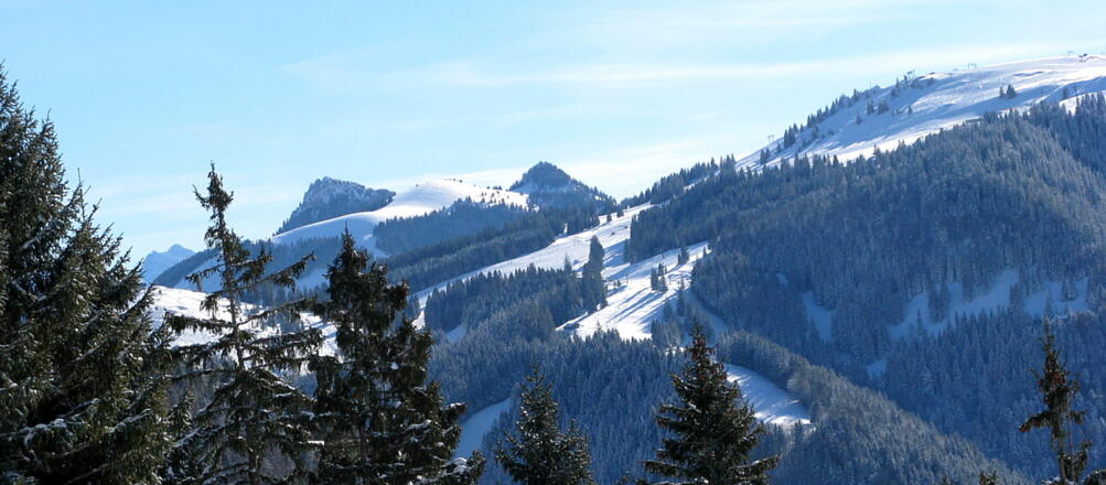 Nahblick zum Sudelfeld und zu der Brünnsteinschanze (rundlicher Schneegupf)!