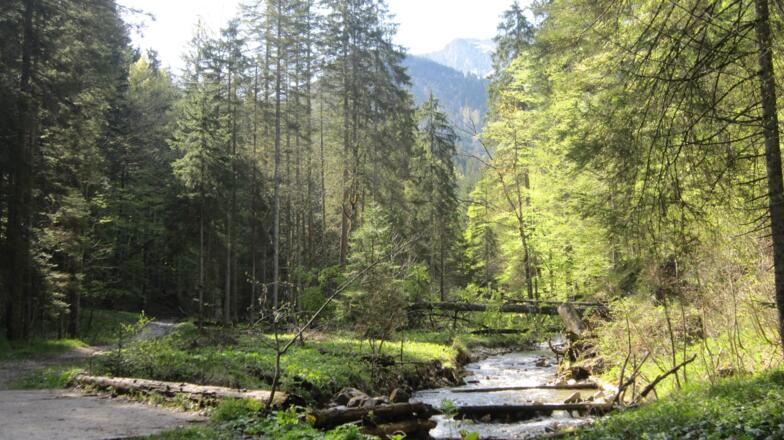Am Tiefpunkt der Klausen die Wand in sicht