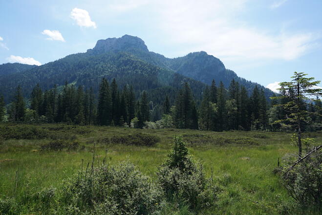 Röthelmoosalm mit Hörndlwand