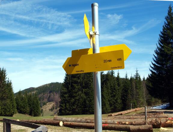 Wegkreuzung um 950m vor Niglalmabstieg