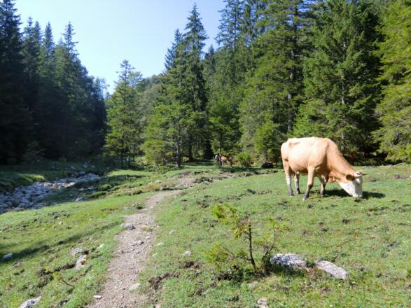 Immer in Gesellschaft