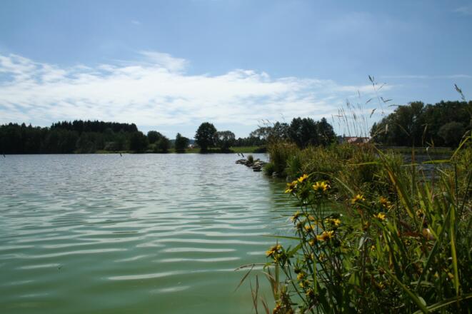 Am Neuweiher können wir halt machen und uns im Sommer ins kühle Nass stürzen.