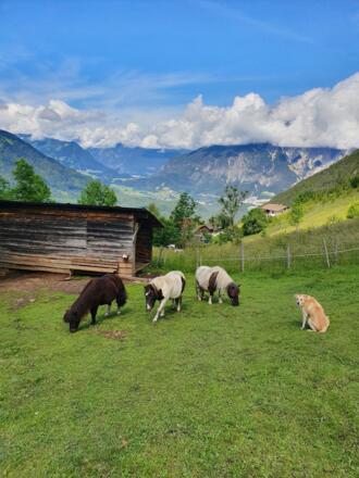 Bergbauernhof Burkert
