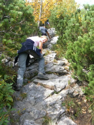 schrofige Latschengassen