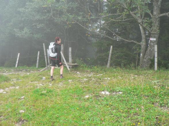 Vom Sulzbodensattel in den Wald zur Grünburger Hütte