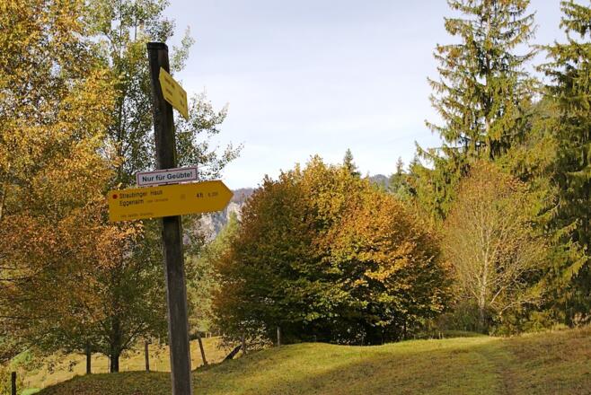 Abzweigung rechts bergauf zum Gernsattel