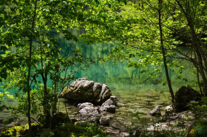 Am Ufer des Obersees