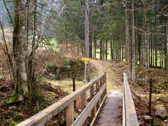 Steg 720m (Wegteilung)