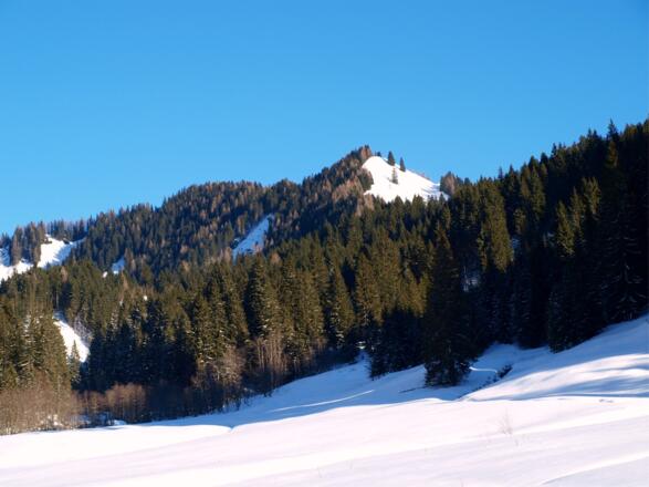 Kreuzbauernspitz 1657m