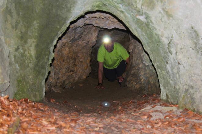 Immer wieder geht es nur auf allen Vieren vorwärts