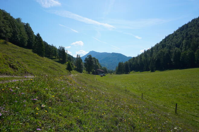 Vor der Stötter Alm