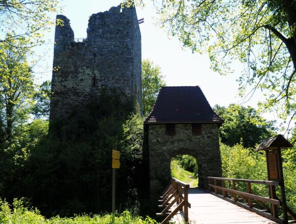 Ruine Haichenbach 471m