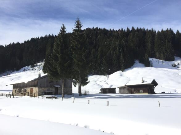 Melchersteffl-Alm