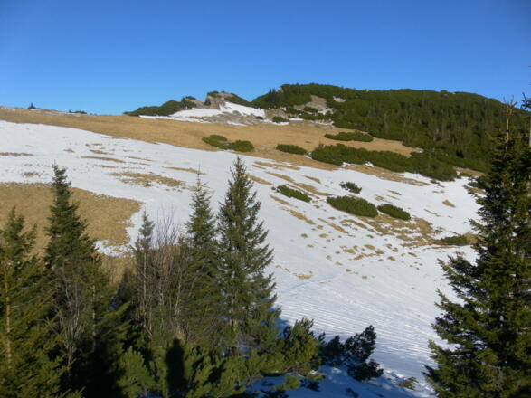 zentral der Tauron Sommergipfel