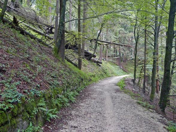 Auf dem alten Soleleitungsweg