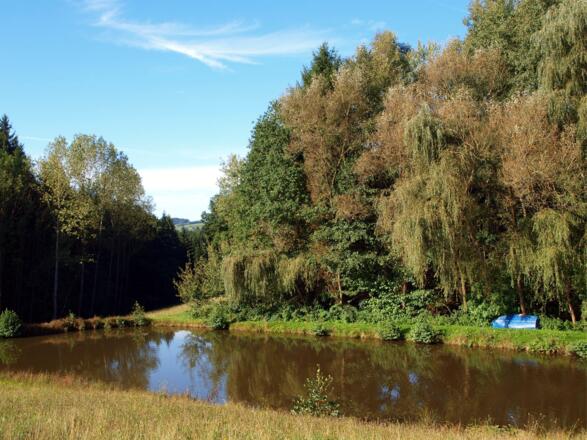 Fisch-Teiche um 480m