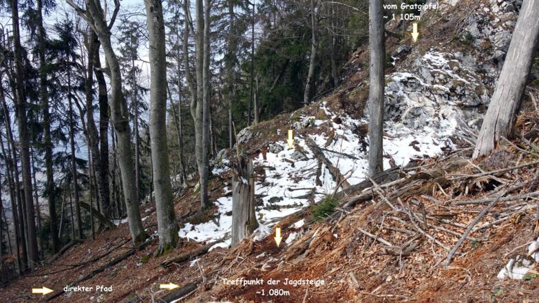~1080m Zusammentreffen der Jagdsteige