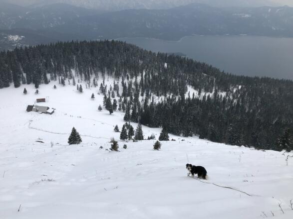 Direktabstieg vom Gipfel zur Jocher Alm