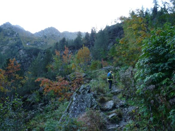 Schöne Herbststimmung während des Aufstieges über die felsdurchsetzte Trogstufe.