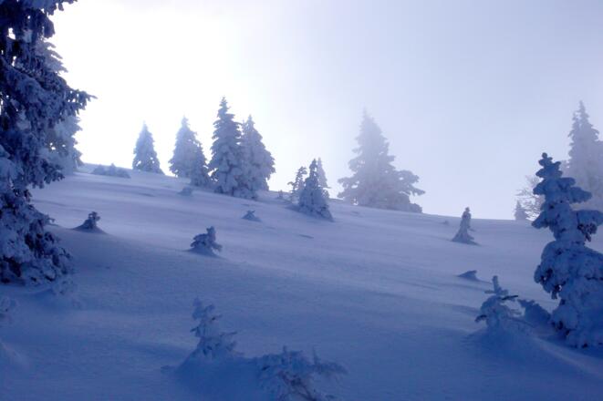 Winterlandschaft