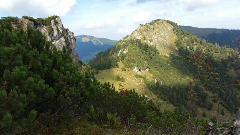 Blick zurück zum Brandelberg - im Hintergrund Hochries
