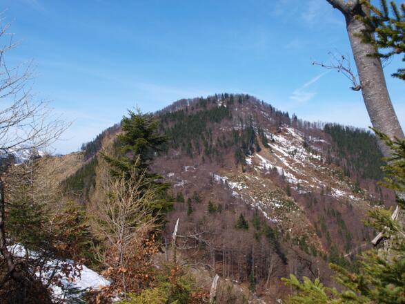 Hochzöbel 1373m vom Kamm zum Sackriedel