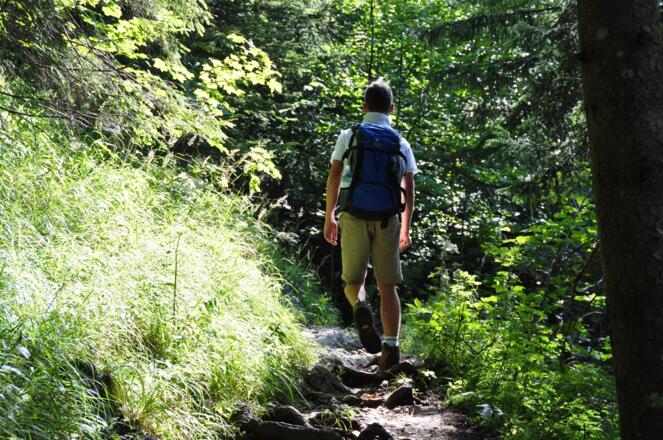 Kleine, abwechslungsreiche Steige - so macht Bergwandern Spaß