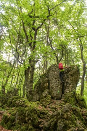 Wer möchte, kann auch Passagen des Norissteigs erklettern (2. Grad UIAA freikletternd)