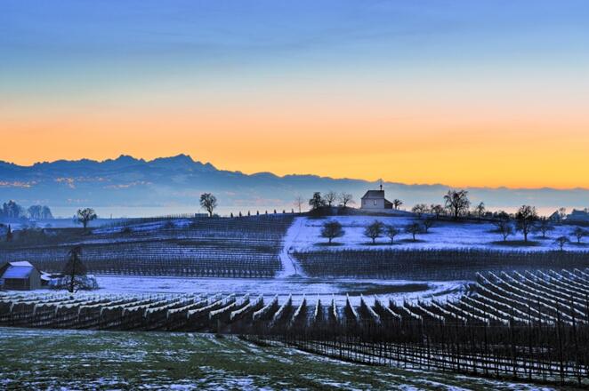 Antoniuskapelle Wasserburg (Bodensee)