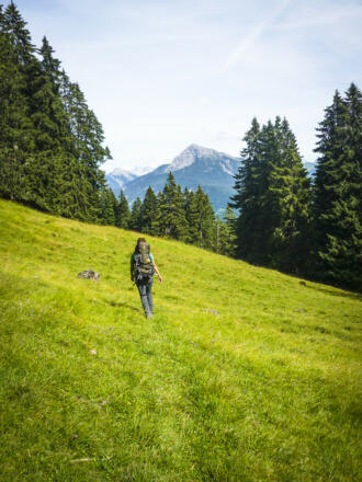Auch ein Gämsle ;-) Auf dem Abstieg durch Wiesen