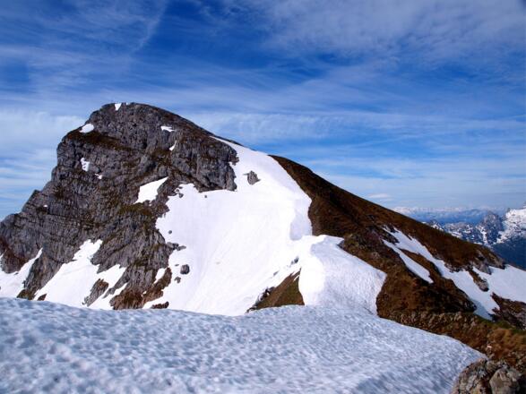 Seehorn 2321 m vom Grat zum Palfenhorn gesehen