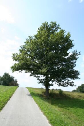 Zwischen Heilbrunn und Wiesenfeld erleben wir eine landschaftlich sehr reizvolle Gegend.