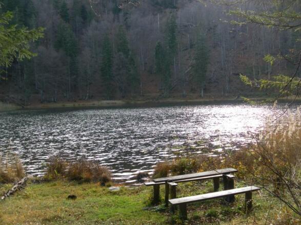 Filblingsee