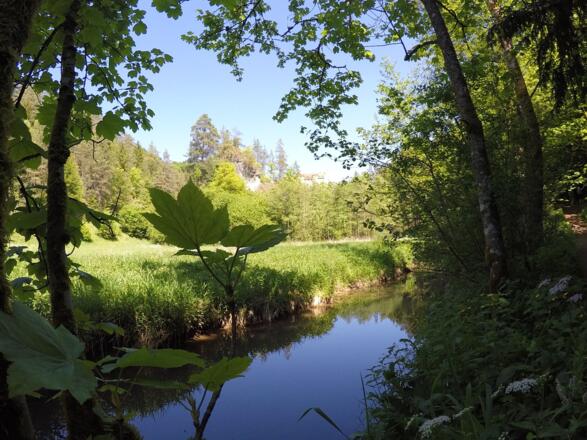 Blick über den Ailsbach kurz vor der Burg Rabenstein