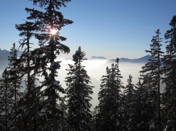 Aussicht auf den Wilden Kaiser