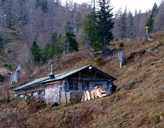 Laufenbergalm 1307m