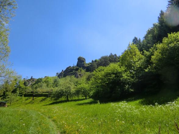 Kurz vor Oberailsfeld