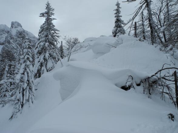 Nicht einfach zu begehen ist der waagrechte Kammverlauf mit den Wechten (27.1.2012).