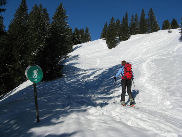 Auch hier sollte man das "Skibergsteigen umweltfreundlich" des DAV berücksichtigen!