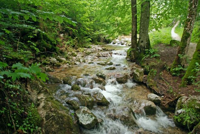 In der Gerner Klamm