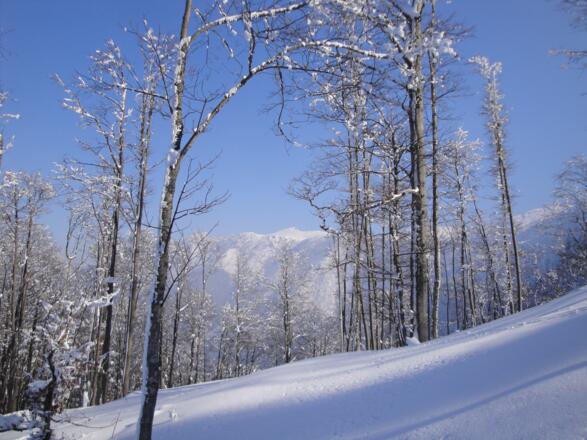 Im noch einfachen Gelände oberhalb der Laimeralm