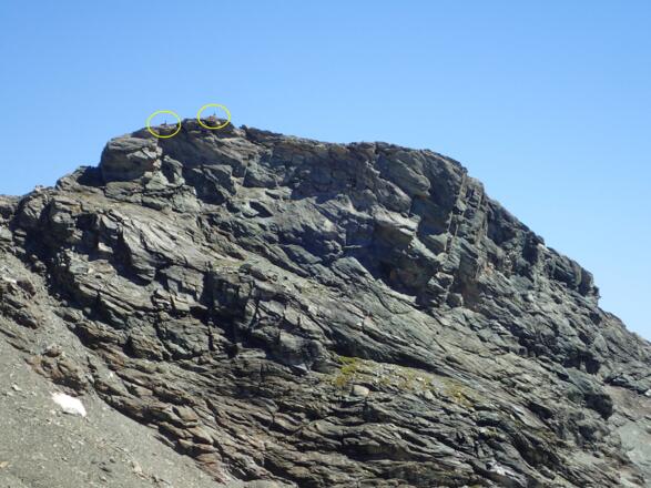 Steinbockrast am Grat