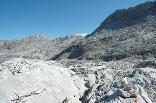 Niederbrunnsulzen mit Felsgrat zum Selbhorn